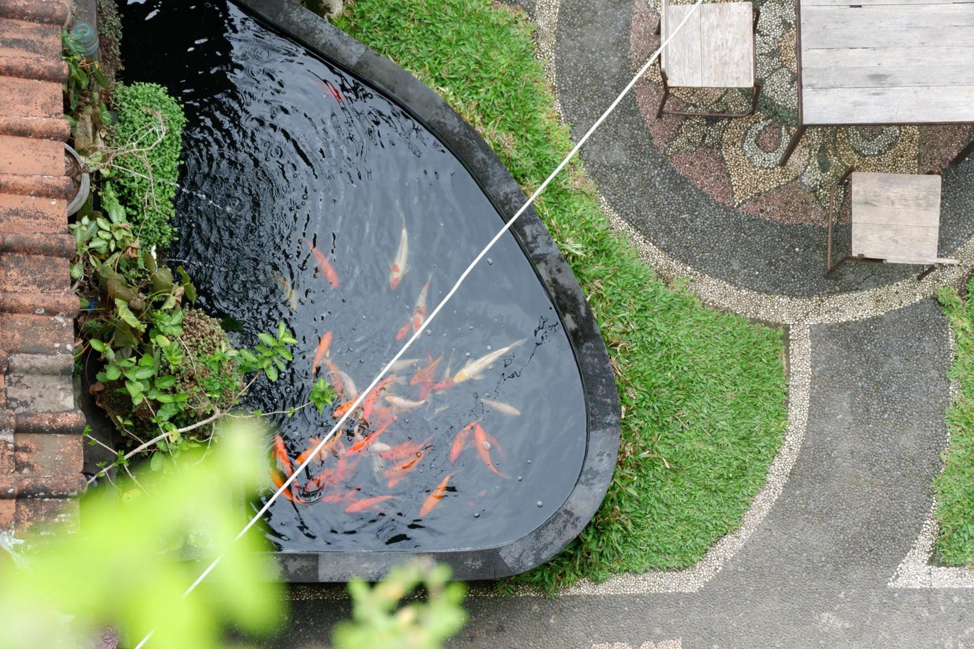 Ramaya Ubud View By Eps Dış mekan fotoğraf
